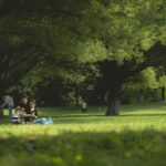 Gemeinsames Picknick für Familien des Projektes „Einstieg ins Leben“